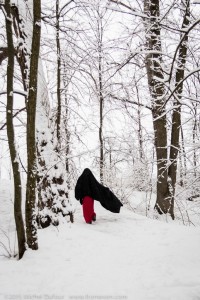 La sorcière des bois-2
