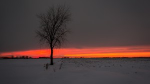 Solitaire à la brunante