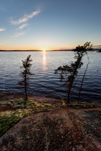 The sunset between the trees