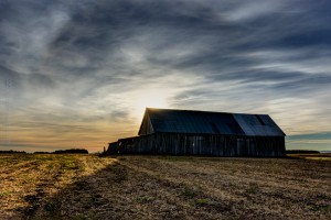 The barn in the field