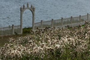 Petite maison dans la prairie - Web