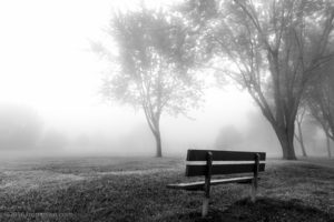 Bench in the fog