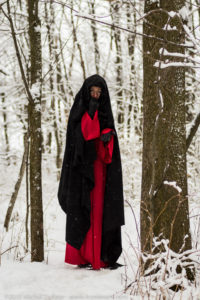 La sorcière des bois-1