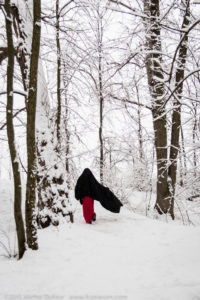 La sorcière des bois-2