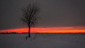 Solitaire à la brunante