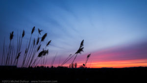 Chatouiller le ciel matinal - Tickling the morning sky