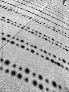 La ligne pointillée