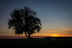 Abandoned in the sunset