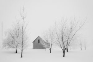 Cache cache - hide and seek