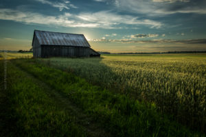 Grange St-Alexandre-1