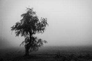 Journée de pluie Hemmingford-1