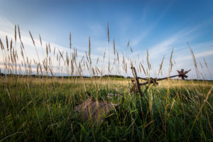 Abandonné Ste-Rose-de-Poularies - Web-1