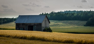 Champs de Ville-Marie - Web-1