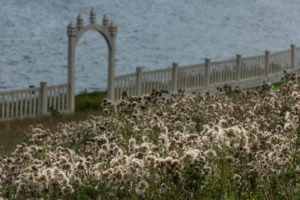 Petite maison dans la prairie - Web