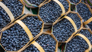 Visite Ottawa - Web-1