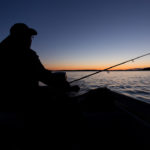 Portrait silhouette